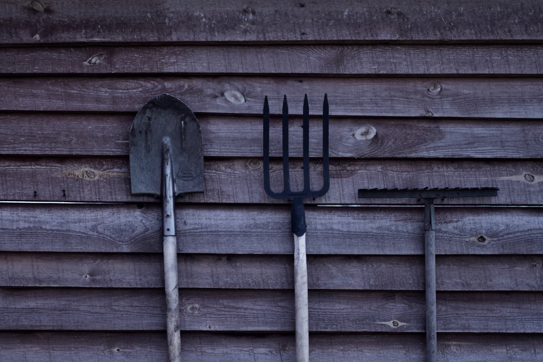 Photo Gardening tools