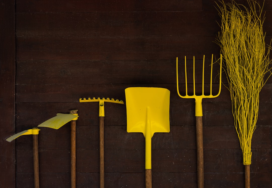 Photo Gardening tools