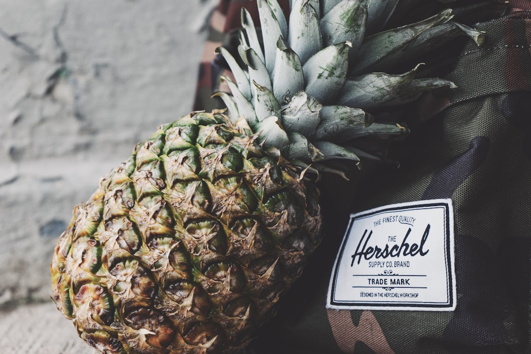 Photo Pineapple plant