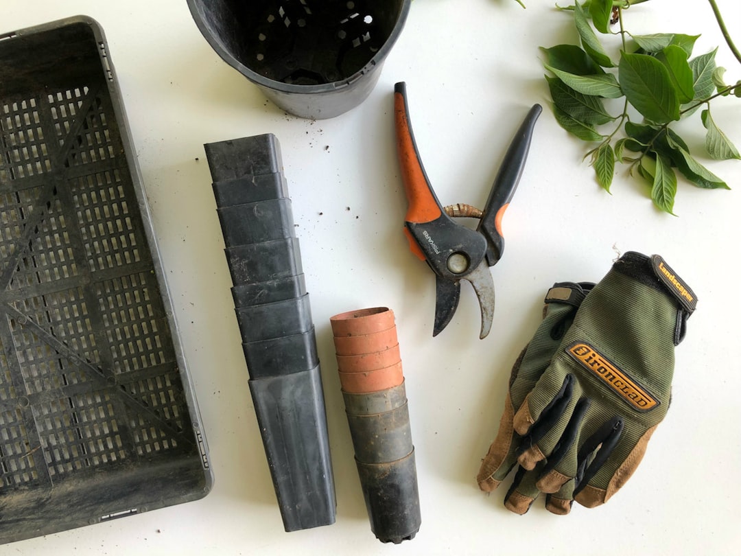 Photo Gardening tools