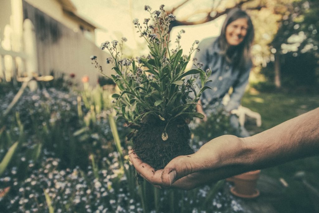 Photo Gardening tools