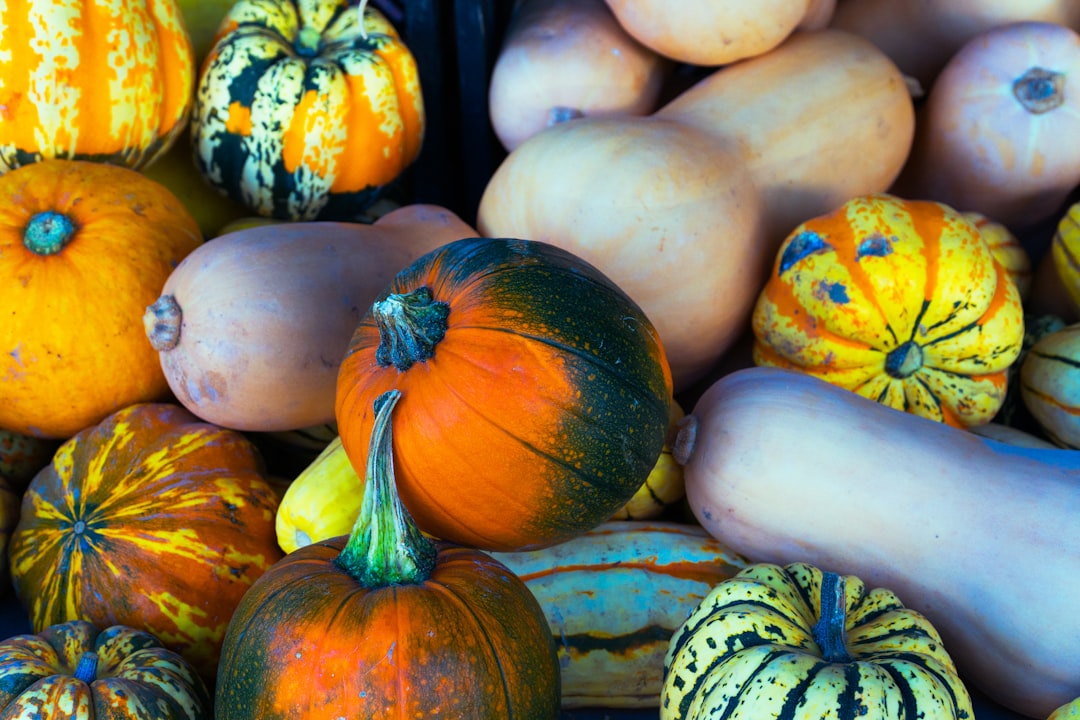 Photo Butternut squash