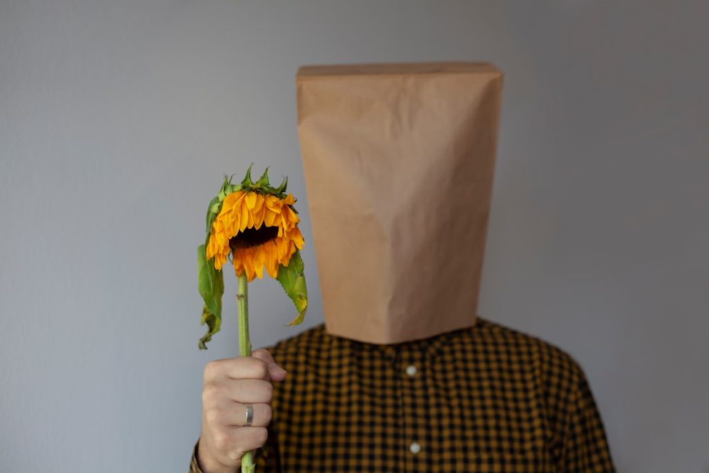 Photo Sunflower head