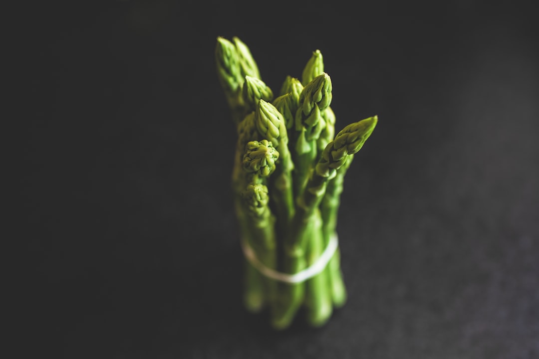 Photo Asparagus field