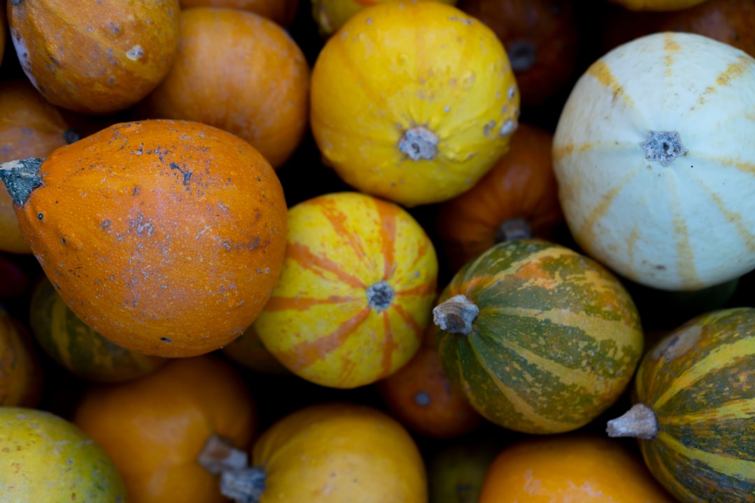 Photo Yellow squash