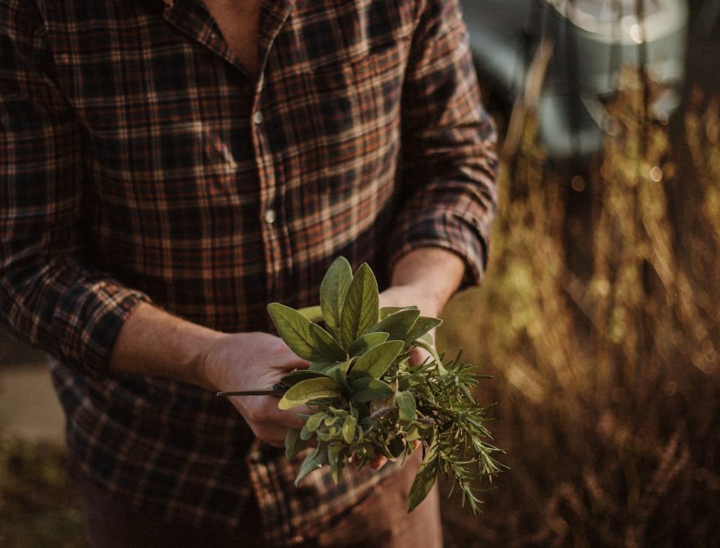 Photo Gardening tools