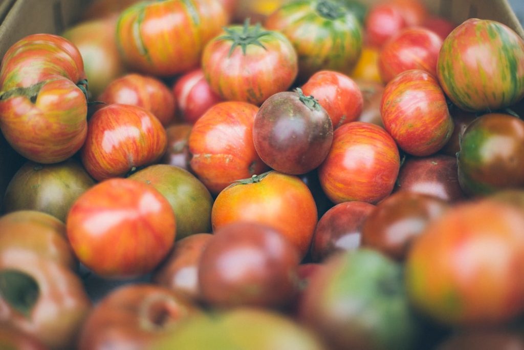 Photo Tomatoes, Bucket