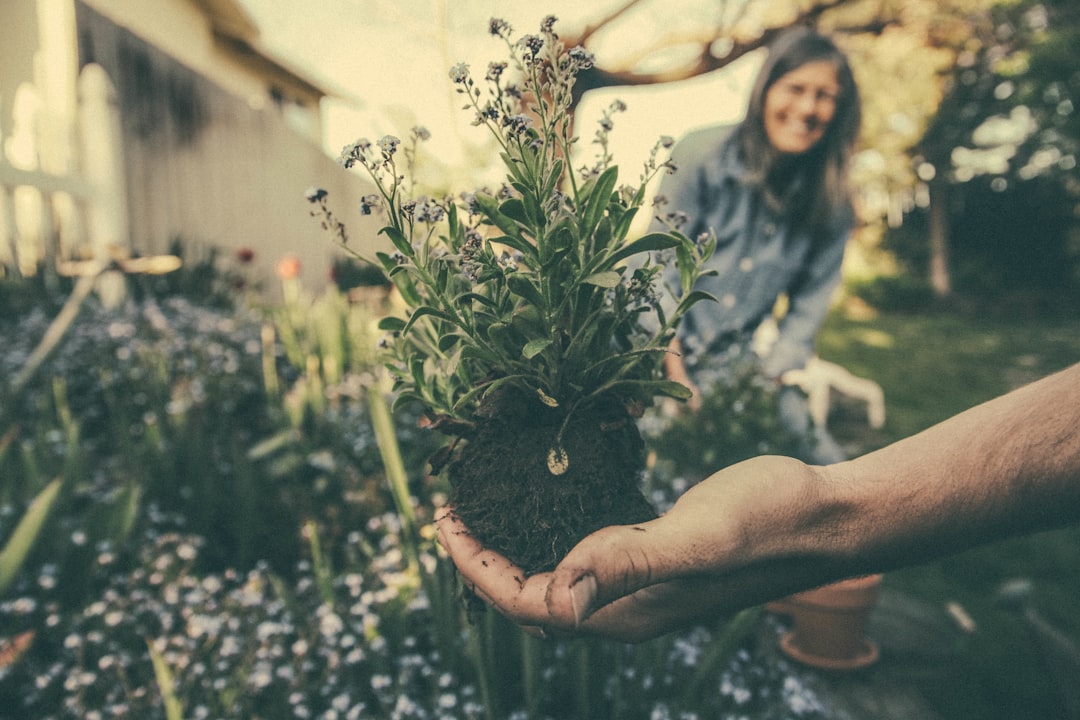 Photo Gardening calendar