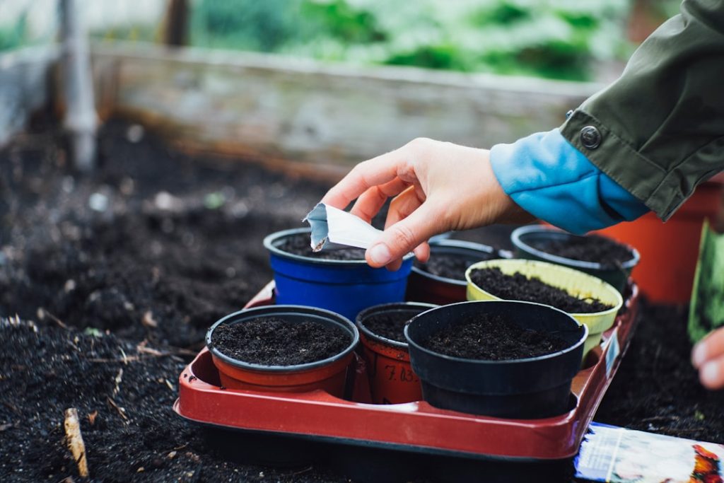 Photo Raised bed