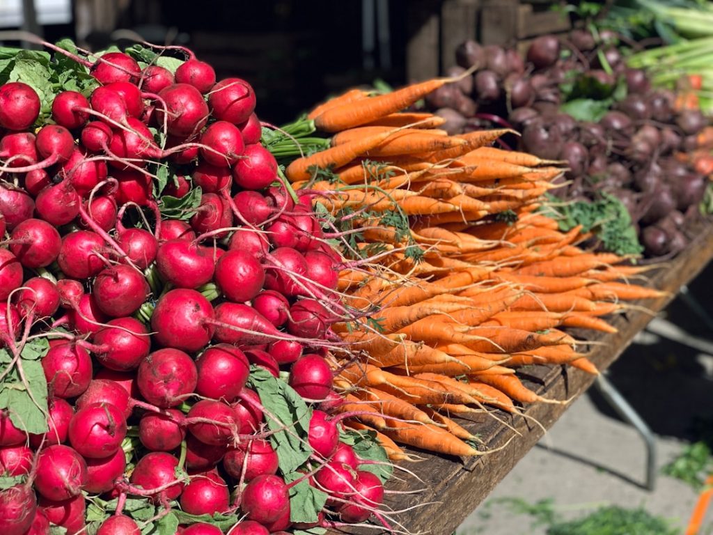 Photo Radish plant