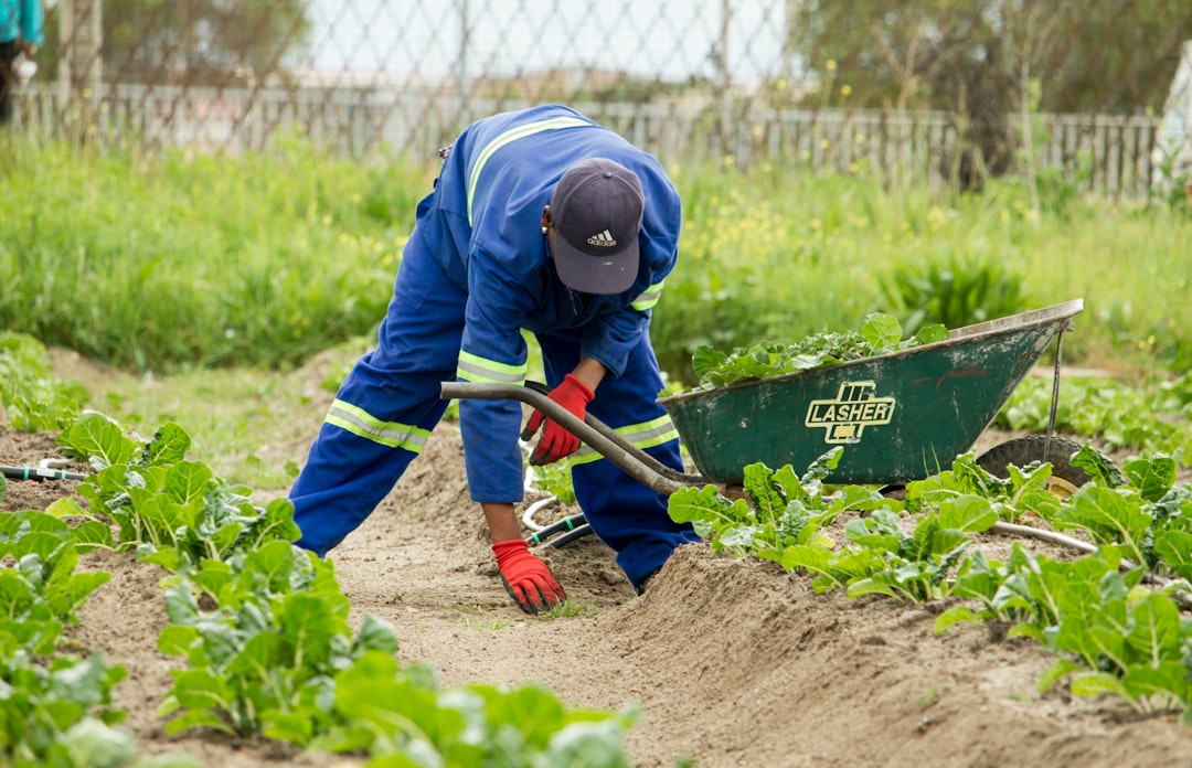 Photo soil pH