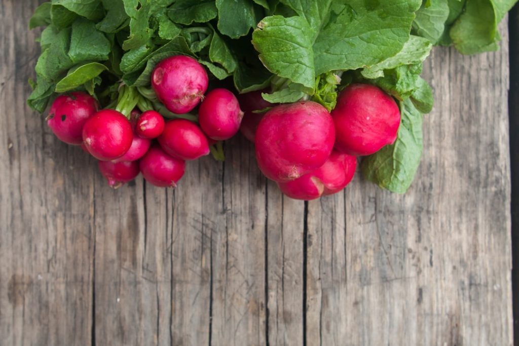 Photo Radish plant