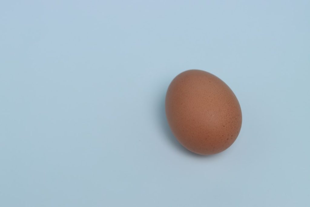 Photo Hen, eggs