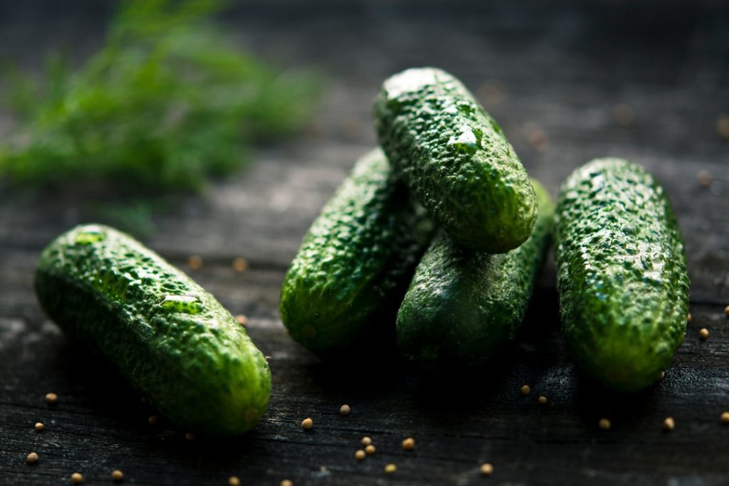 Photo Cucumber plant