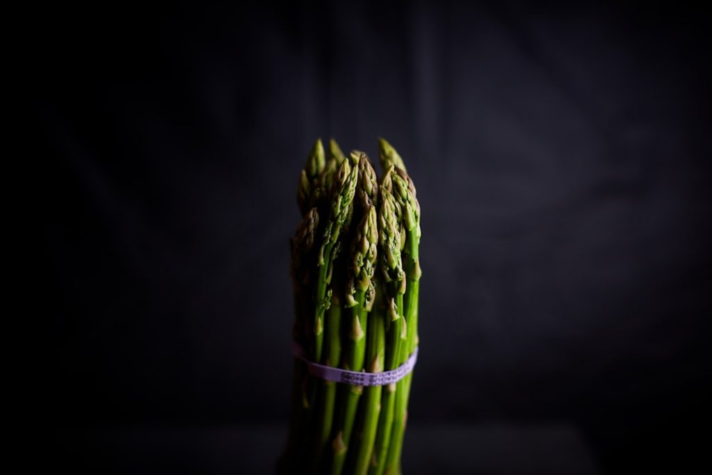 Photo Asparagus seedlings