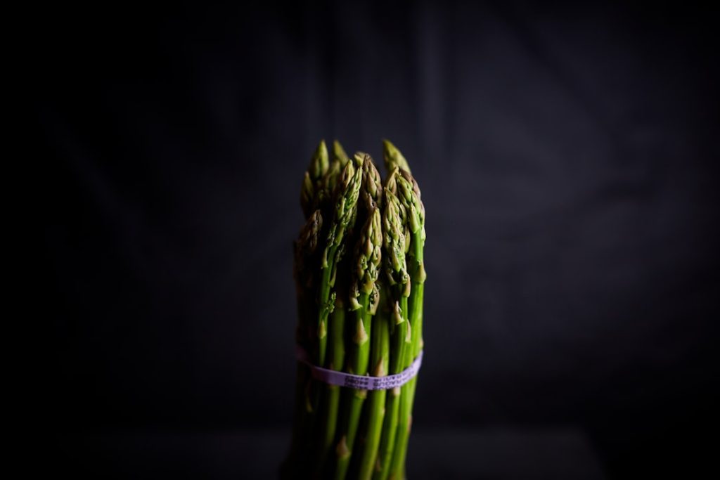 Photo Asparagus seedlings