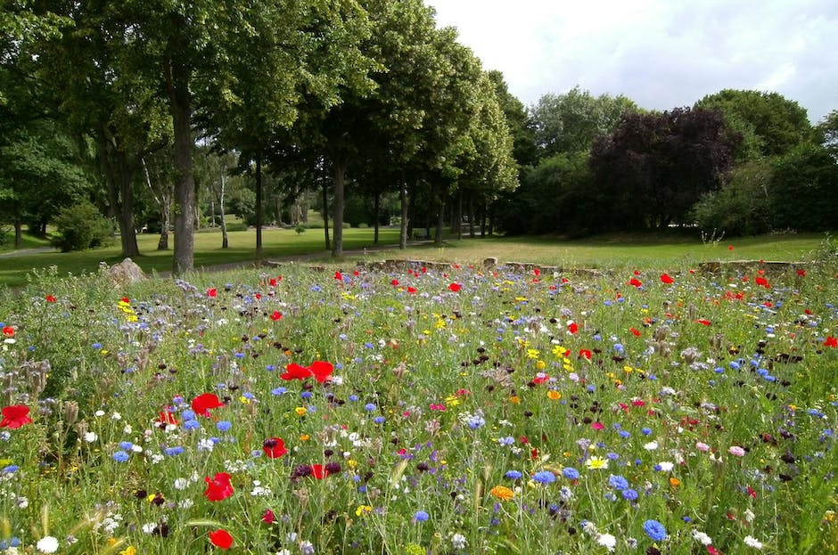 A picturesque garden with blooming flowers, lush greenery, and neatly arranged gardening tools.