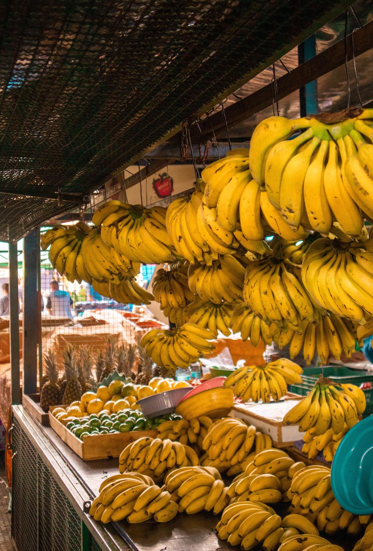An image showing the journey of a banana bunch from flower to fully formed fruit.