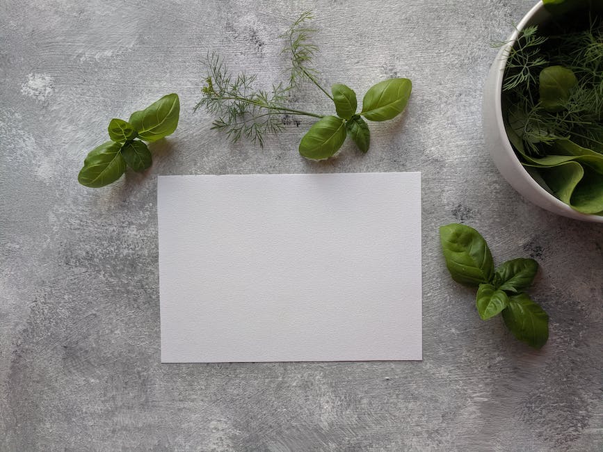Image of freshly harvested basil leaves from a plant