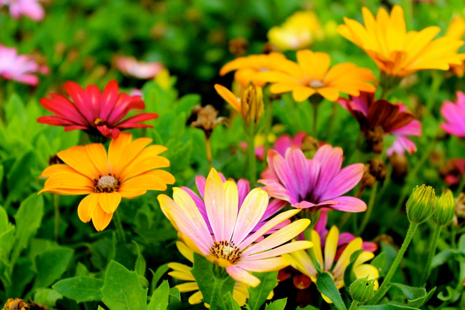 A variety of colorful flowers and vegetables growing in a garden.