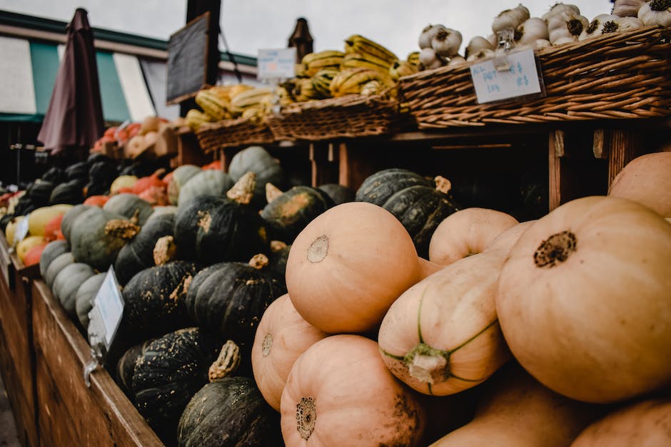 Image showing a mature butternut squash ready for harvest