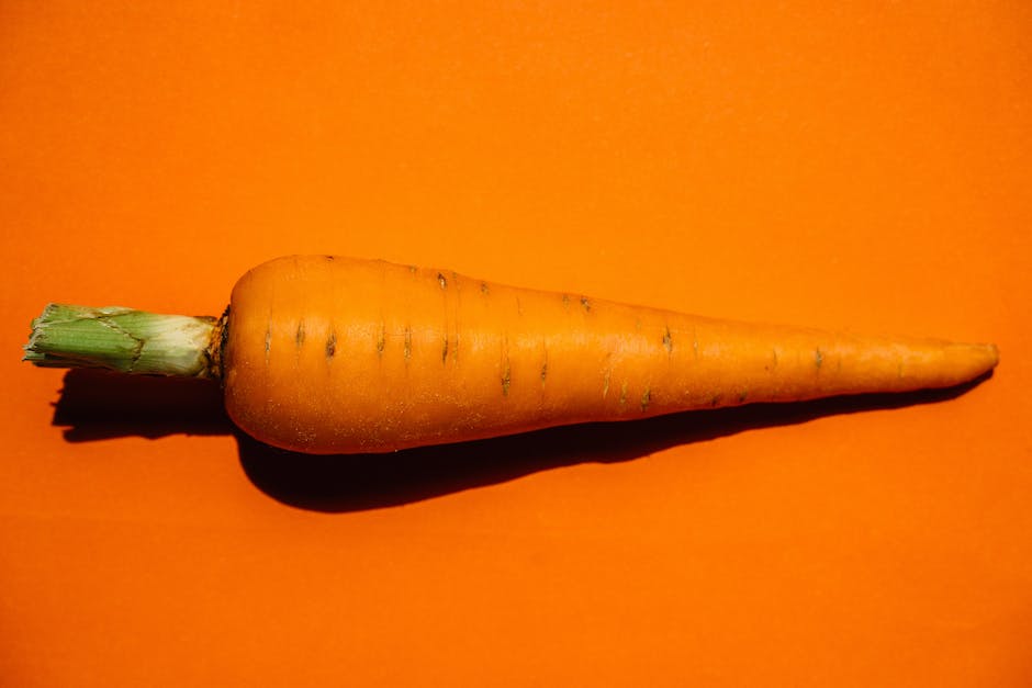 Illustration showing the different stages of a carrot's growth cycle
