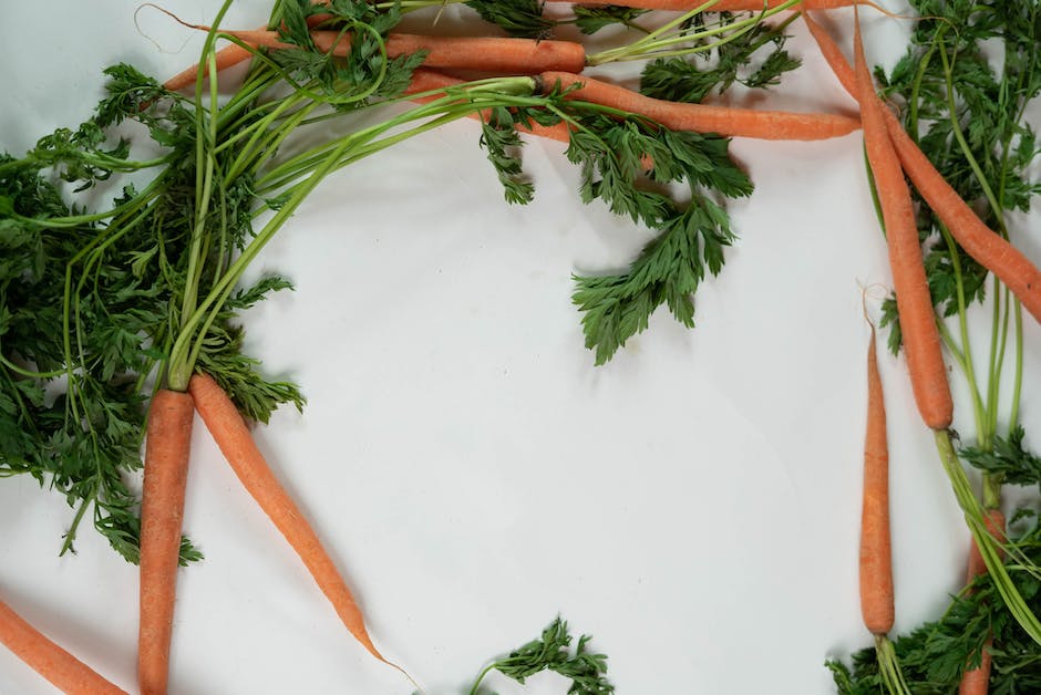 Illustration image of the growth cycle of a carrot, depicting seeds, seedlings, root development, maturation, and harvesting stages.