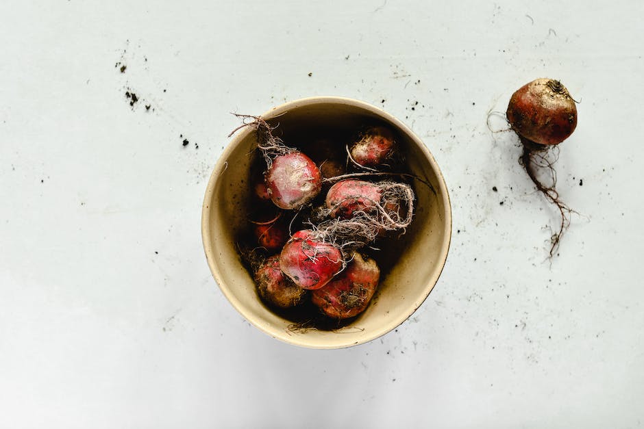 Image of freshly harvested carrots with soil on them