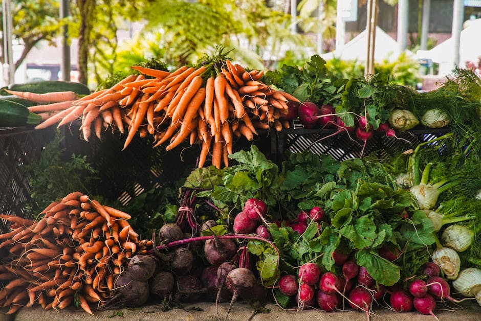 Image of freshly harvested carrots in a garden bed