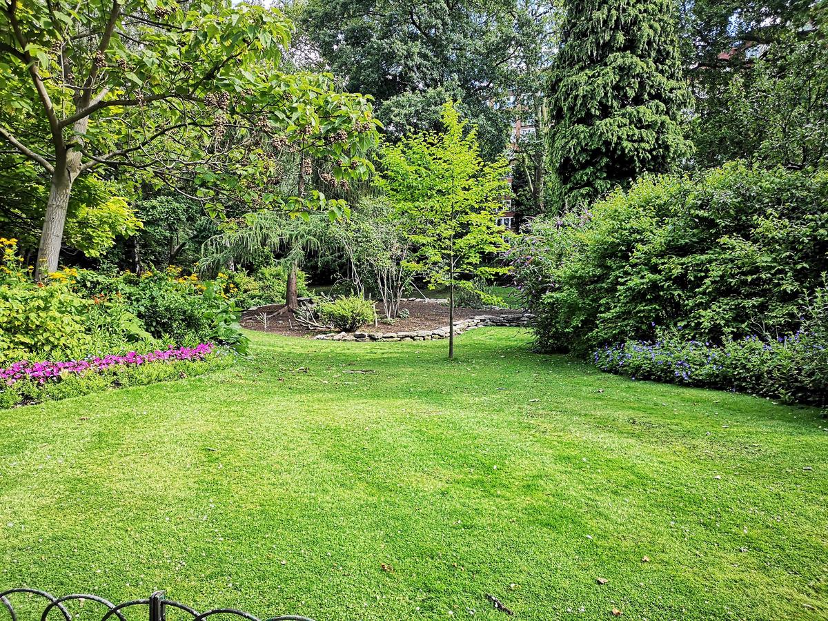 Image of a colorful garden with various flowers and plants.