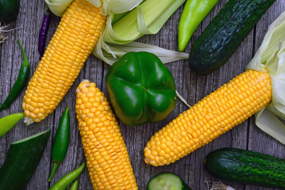 Image of ripe corn with husk and silks