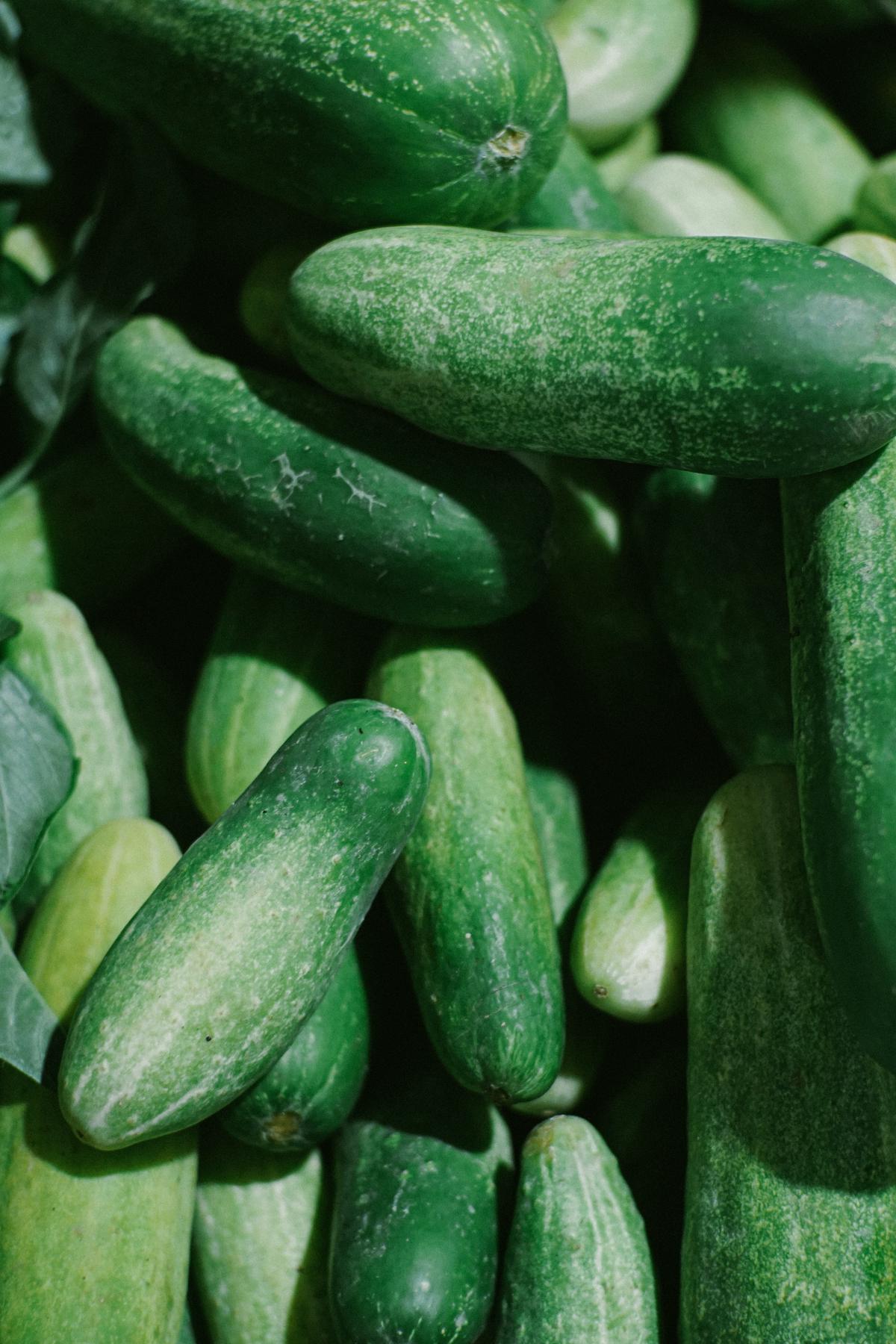 Image showing freshly harvested cucumbers