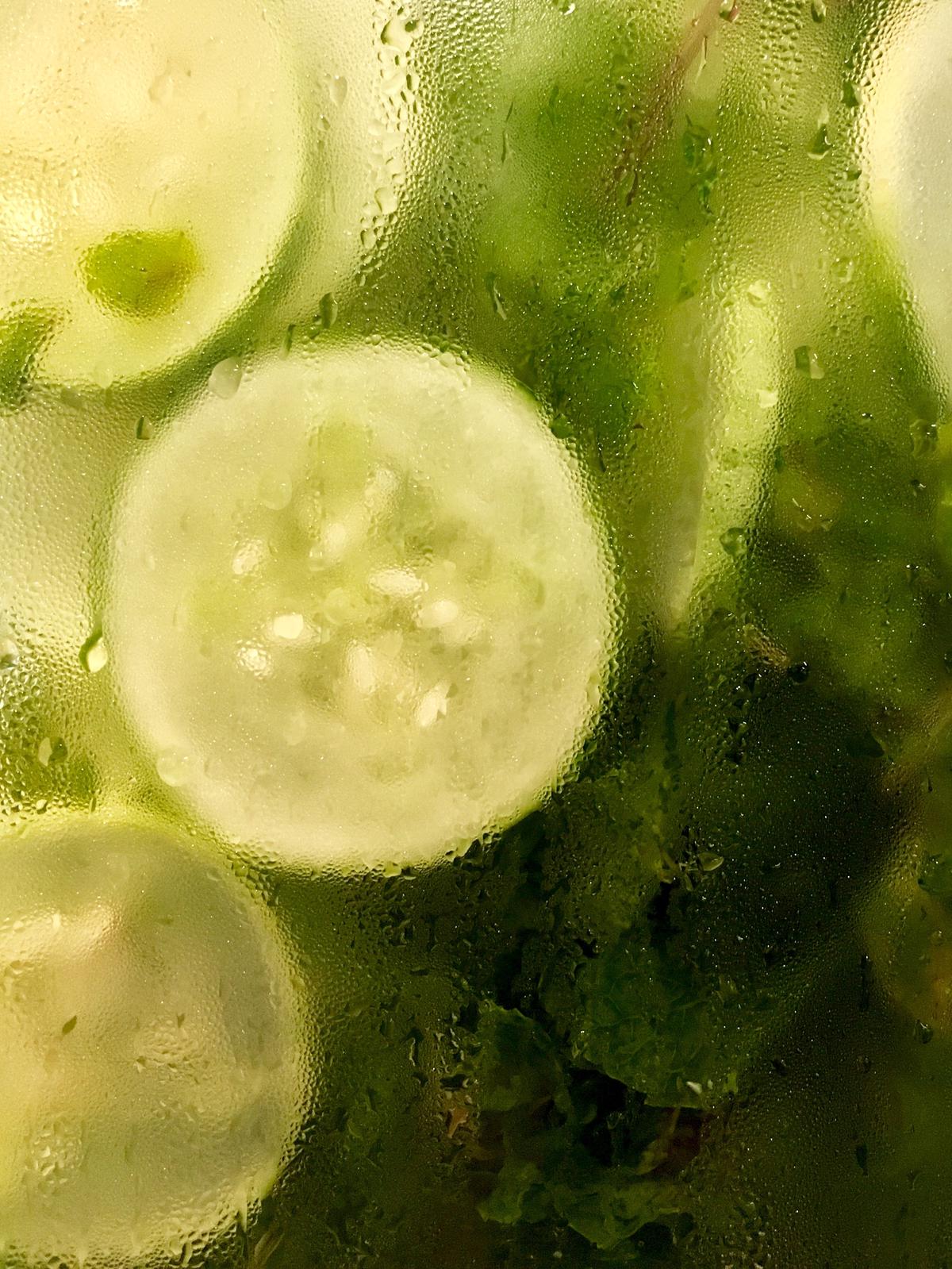 An image showing the different stages of a cucumber plant's growth, from seed to full-grown fruit.