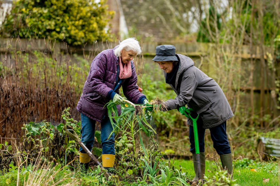 Image of a person gardening, surrounded by vibrant plants and flowers.