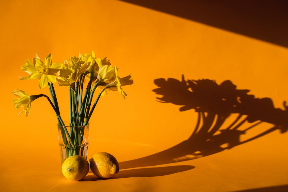 Image of blooming daffodils in a vibrant garden.