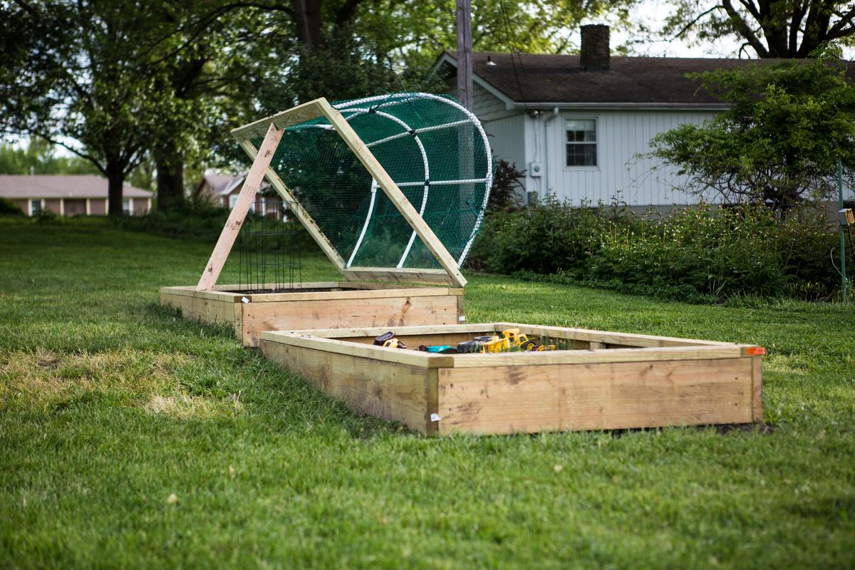 Image of different dog garden barrier options, such as fences, garden gates, raised garden beds, and hedges, to keep dogs out of gardens.