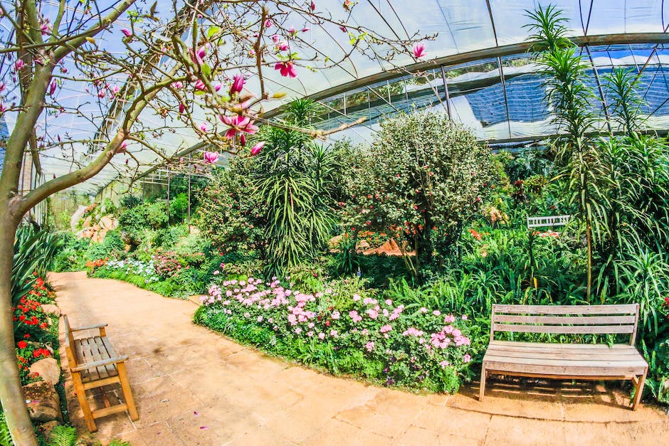 Image of a beautiful garden with plants and flowers, protected from dogs