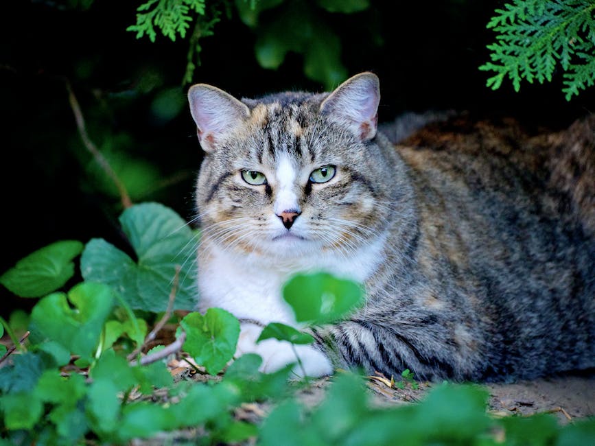Image illustrating feline-friendly plants surrounded by a cute cat
