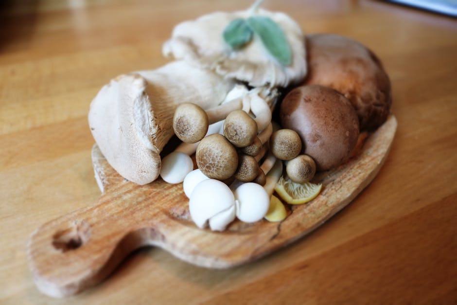 Image depicting various fungi in mulch, showcasing their diversity and uniqueness.