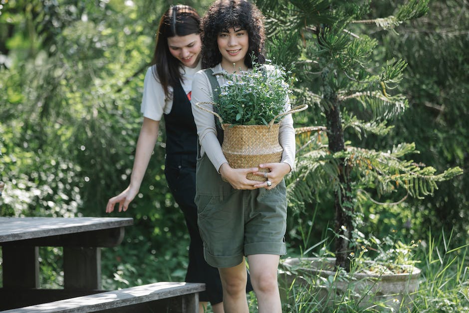 A person and a dog happily gardening together, enjoying a beautiful sunny day in the backyard.