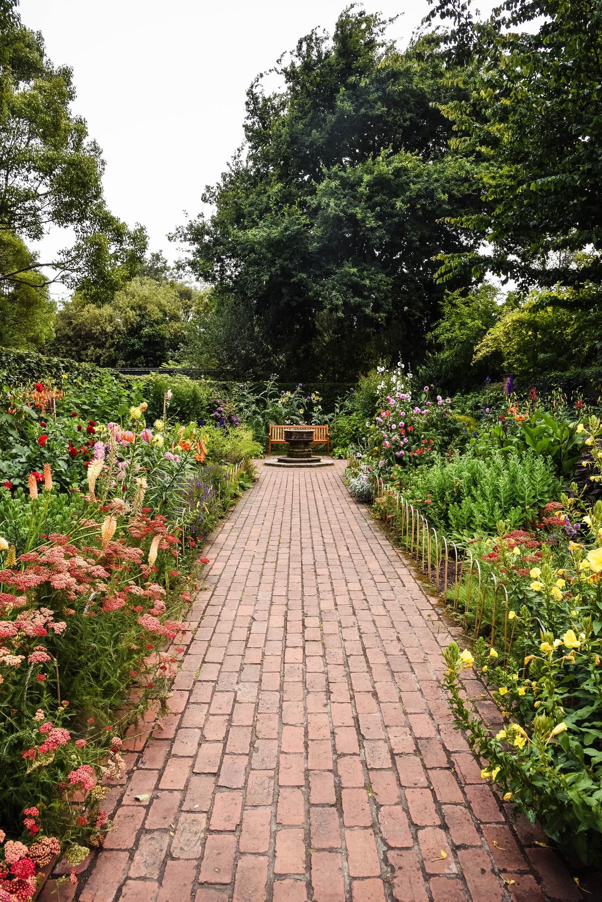 A beautiful, thriving garden bathed in sunlight, with vibrant green plants and colorful flowers.