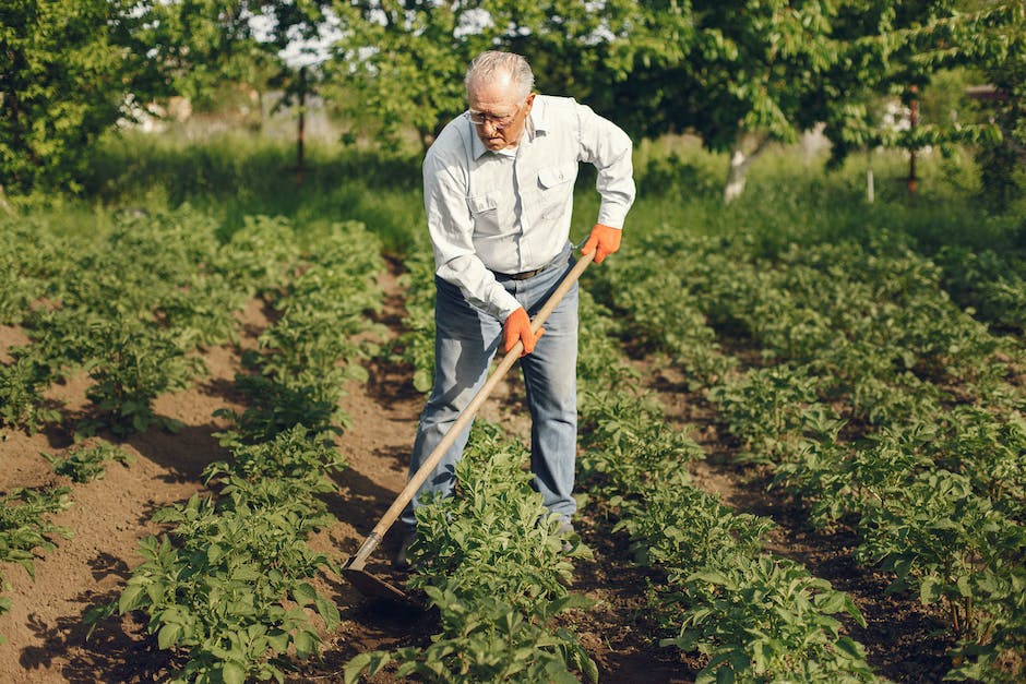 Image of a person gardening with lush green plants around them