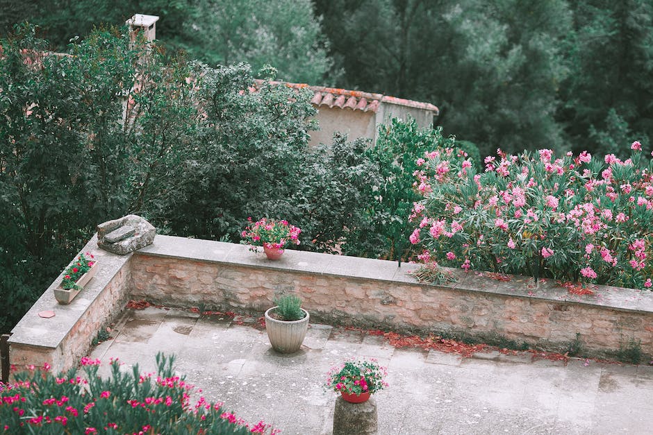 A lush garden filled with blooming flowers and green foliage.