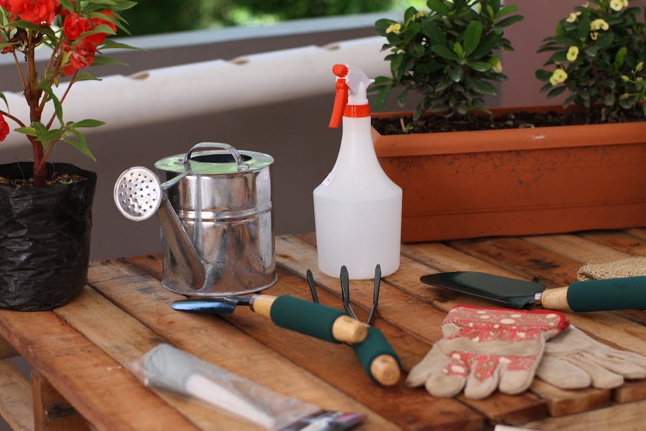 Various gardening tools neatly arranged on a table