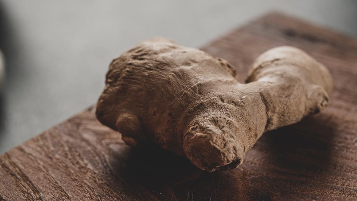 Image of a healthy ginger root alongside a pot with rich soil, symbolizing the act of choosing the perfect ginger and pot for growing ginger at home.