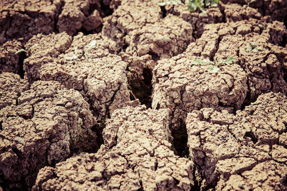 Illustration showing the degradation process of glyphosate in soil