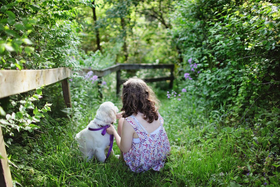 A charming image of a dog and a vibrant garden, representing the harmony between pets and plants.