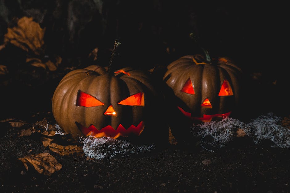 A photo showing a variety of pumpkins grown in pots, showcasing their vibrant colors and different shapes and sizes.