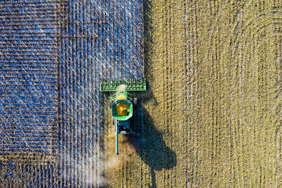 Image depicting the process of harvesting and storing corn, showing corn being picked and placed in storage containers