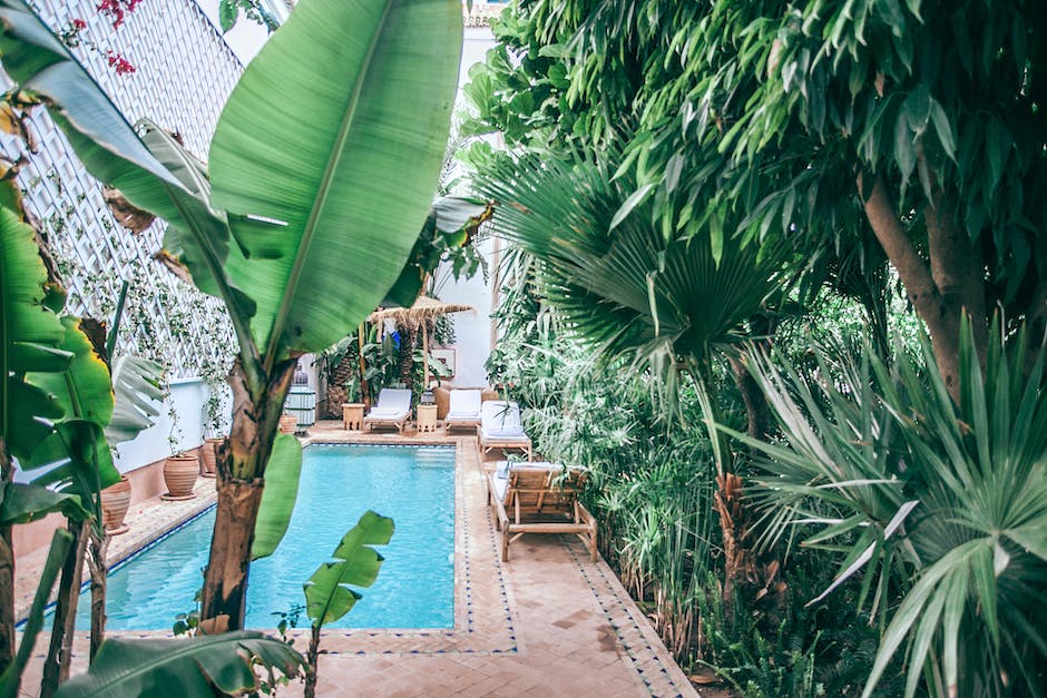 A lush and healthy banana tree growing in a tropical garden surrounded by vibrant foliage and flowers.